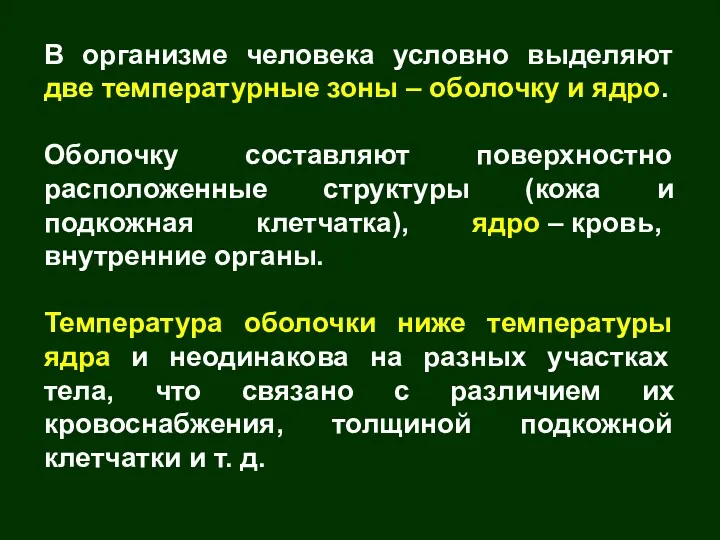 В организме человека условно выделяют две температурные зоны – оболочку