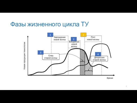 Фазы жизненного цикла ТУ 1 2 3 4 1