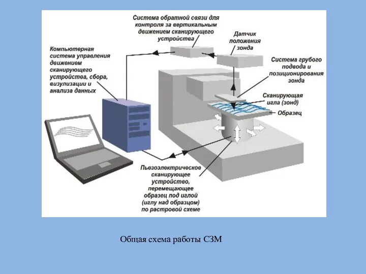 Общая схема работы СЗМ