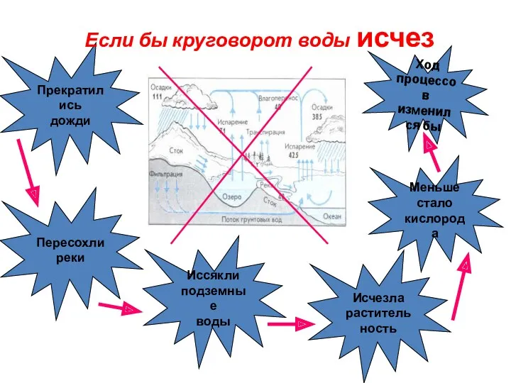 Ход процессов изменился бы Меньше стало кислорода Исчезла растительность Иссякли