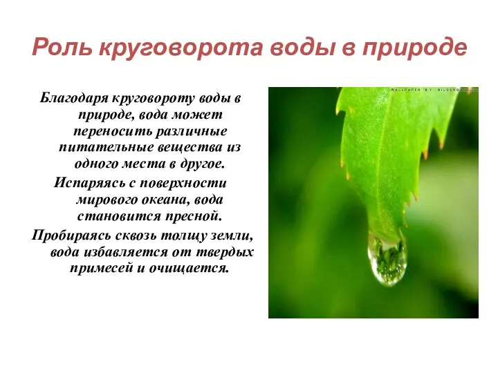 Роль круговорота воды в природе Благодаря круговороту воды в природе,