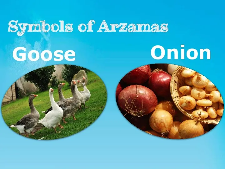 Goose Onion Symbols of Arzamas
