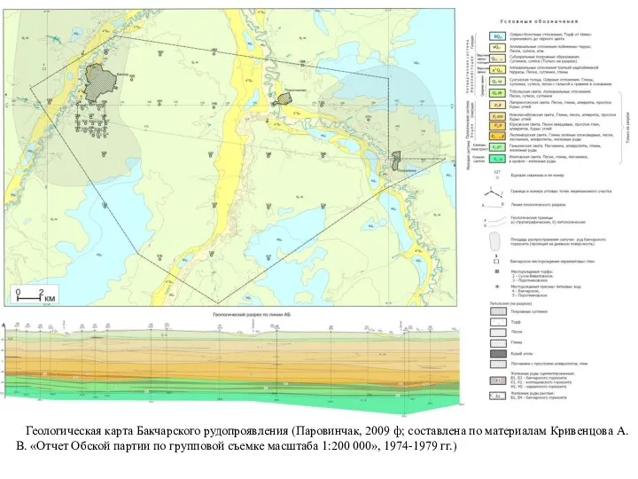 Геологическая карта Бакчарского рудопроявления (Паровинчак, 2009 ф; составлена по материалам