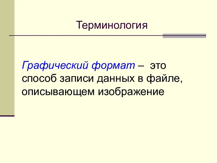 Терминология Графический формат – это способ записи данных в файле, описывающем изображение