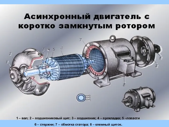 1 – вал; 2 – подшипниковый щит; 3 – подшипник;