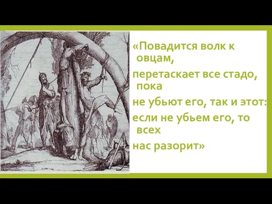 «Повадится волк к овцам, перетаскает все стадо, пока не убьют его, так и