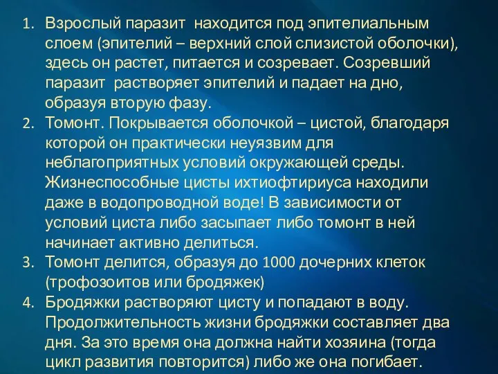 Взрослый паразит находится под эпителиальным слоем (эпителий – верхний слой