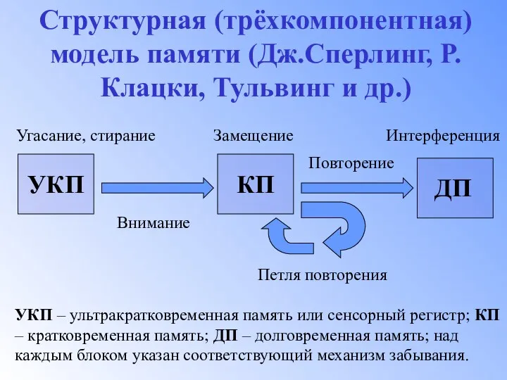 Структурная (трёхкомпонентная) модель памяти (Дж.Сперлинг, Р.Клацки, Тульвинг и др.) УКП – ультракратковременная память