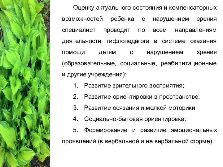 Оценку актуального состояния и компенсаторных возможностей ребенка с нарушением зрения