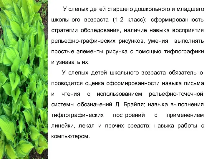 У слепых детей старшего дошкольного и младшего школьного возраста (1-2