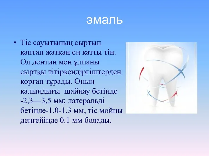 эмаль Тіс сауытының сыртын қаптап жатқан ең қатты тін. Ол дентин мен ұлпаны