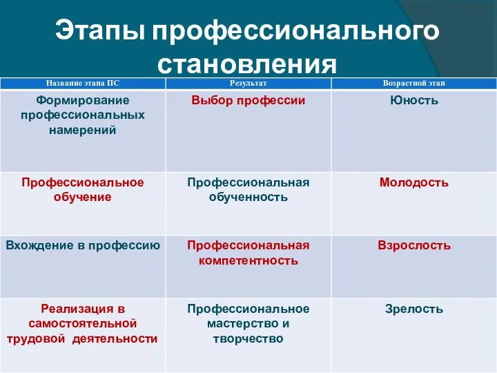 Этапы профессионального становления