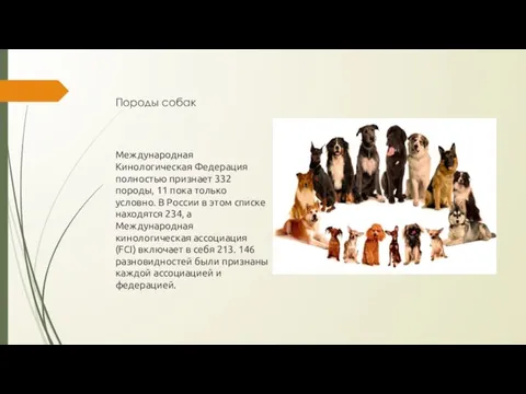 Породы собак Международная Кинологическая Федерация полностью признает 332 породы, 11
