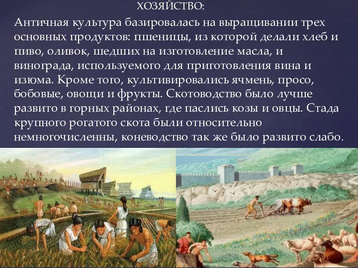 ХОЗЯЙСТВО: Античная культура базировалась на выращивании трех основных продуктов: пшеницы, из которой делали