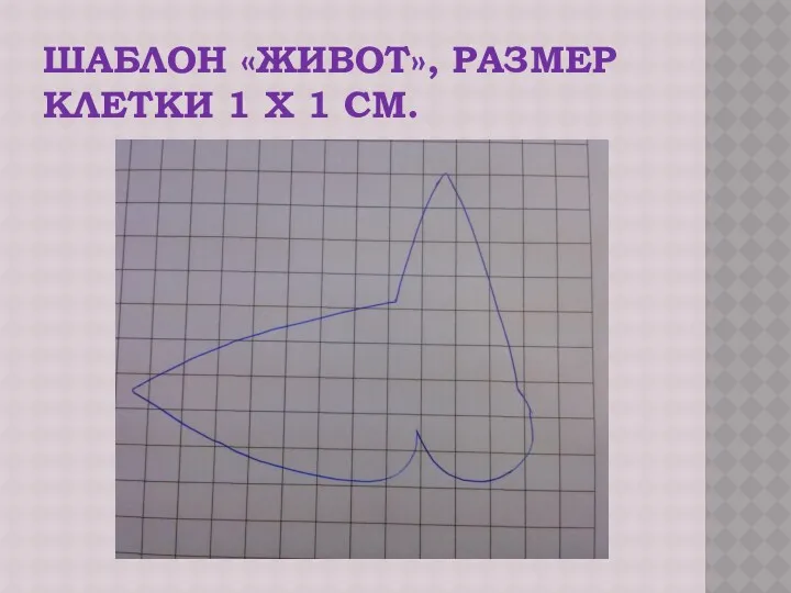 ШАБЛОН «ЖИВОТ», РАЗМЕР КЛЕТКИ 1 Х 1 СМ.