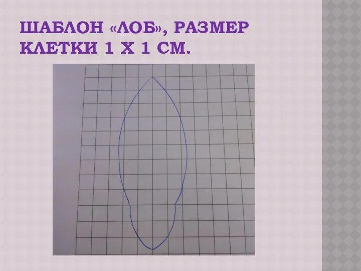 ШАБЛОН «ЛОБ», РАЗМЕР КЛЕТКИ 1 Х 1 СМ.