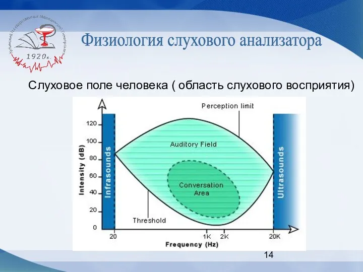 Физиология слухового анализатора Слуховое поле человека ( область слухового восприятия)