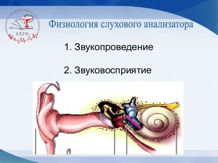 Физиология слухового анализатора 1. Звукопроведение 2. Звуковосприятие