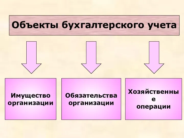 Имущество организации Обязательства организации Хозяйственные операции Объекты бухгалтерского учета