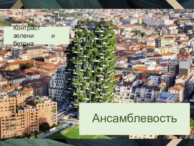 Ансамблевость Контраст зелени и бетона