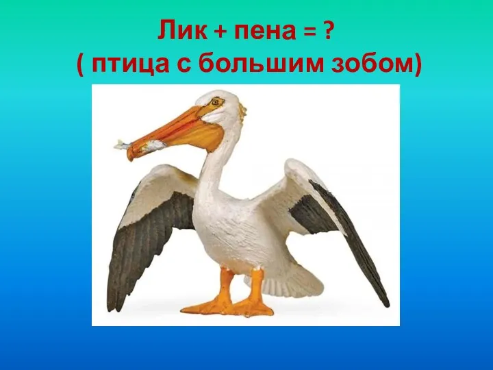 Лик + пена = ? ( птица с большим зобом) ПЕЛИКАН