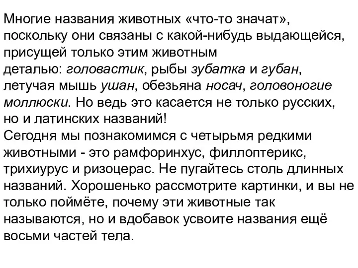 Многие названия животных «что-то значат», поскольку они связаны с какой-нибудь