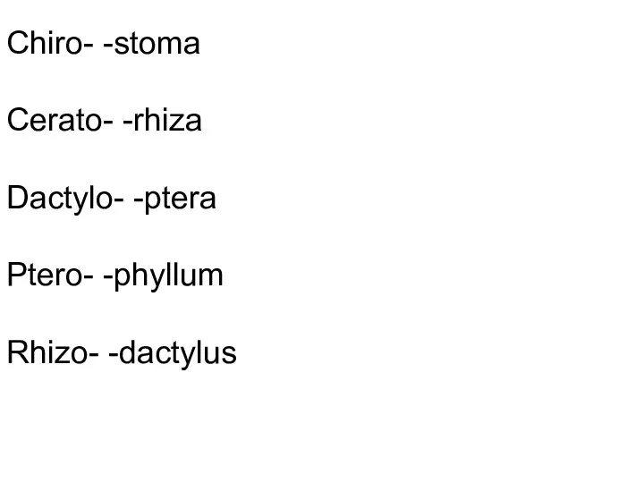 Chiro- -stoma Cerato- -rhiza Dactylo- -ptera Ptero- -phyllum Rhizo- -dactylus