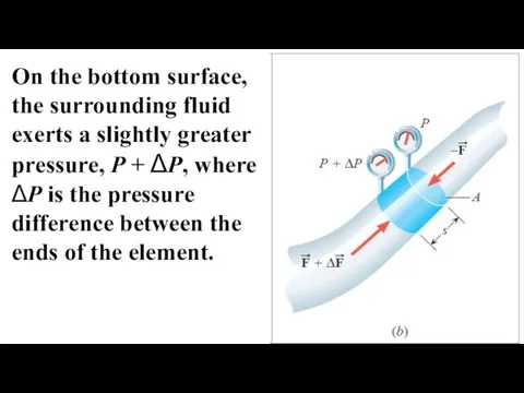 On the bottom surface, the surrounding fluid exerts a slightly