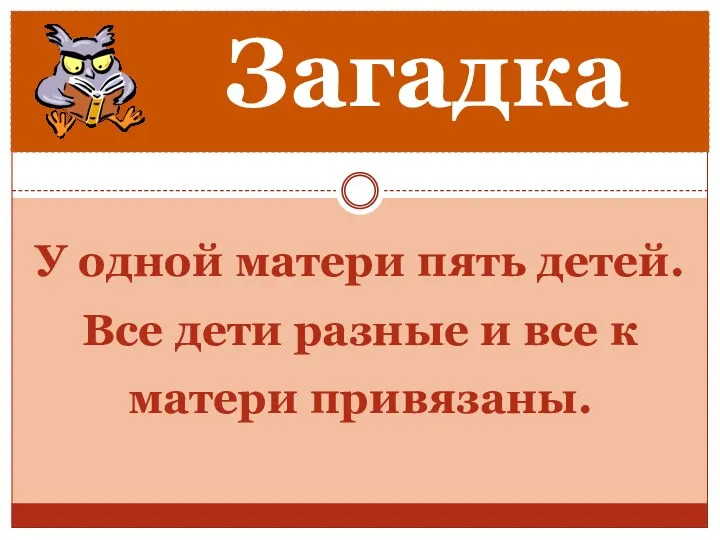 У одной матери пять детей. Все дети разные и все к матери привязаны. Загадка