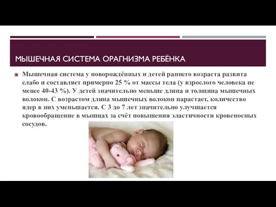 МЫШЕЧНАЯ СИСТЕМА ОРАГНИЗМА РЕБЁНКА Мышечная система у новорождённых и детей