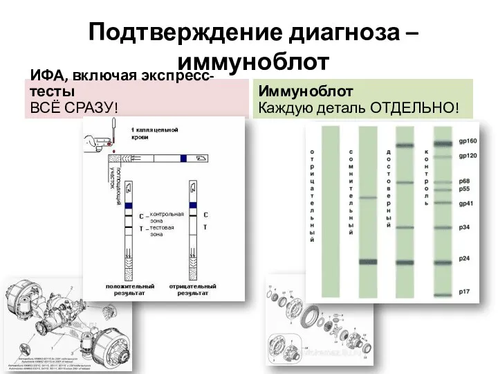 Подтверждение диагноза – иммуноблот ИФА, включая экспресс-тесты ВСЁ СРАЗУ! Иммуноблот Каждую деталь ОТДЕЛЬНО!