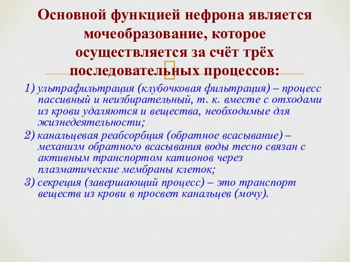 1) ультрафильтрация (клубочковая фильтрация) – процесс пассивный и неизбирательный, т.