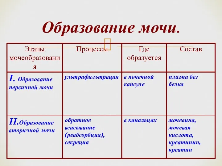 Образование мочи.