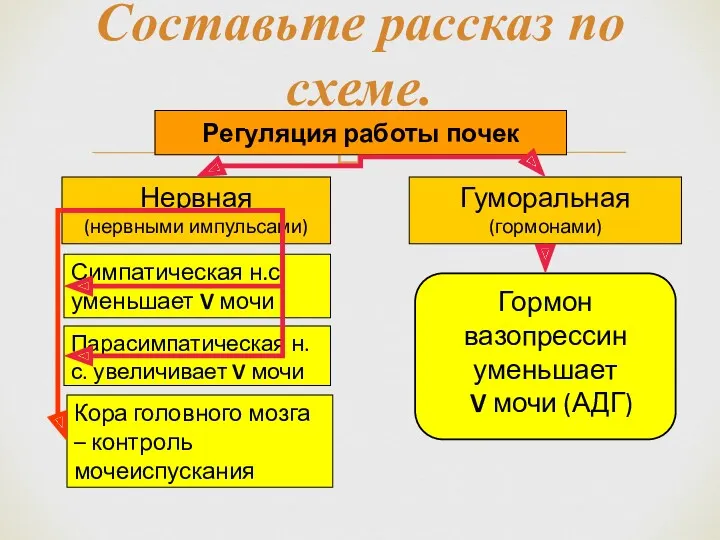 Составьте рассказ по схеме.