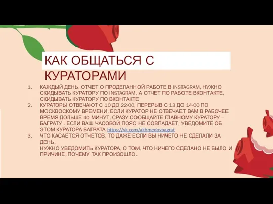 КАК ОБЩАТЬСЯ С КУРАТОРАМИ КАЖДЫЙ ДЕНЬ, ОТЧЕТ О ПРОДЕЛАННОЙ РАБОТЕ