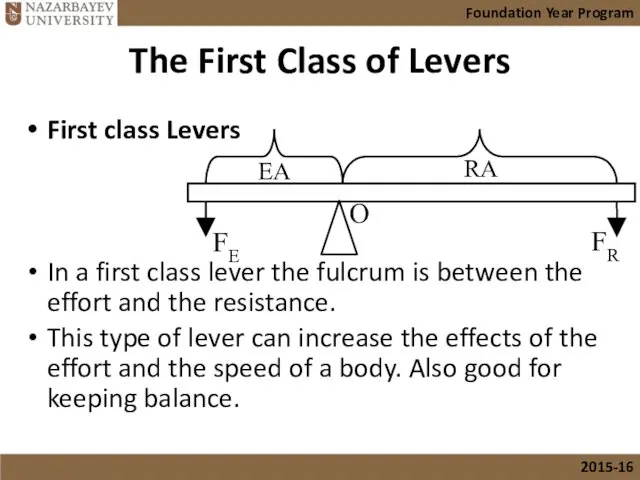 The First Class of Levers First class Levers In a