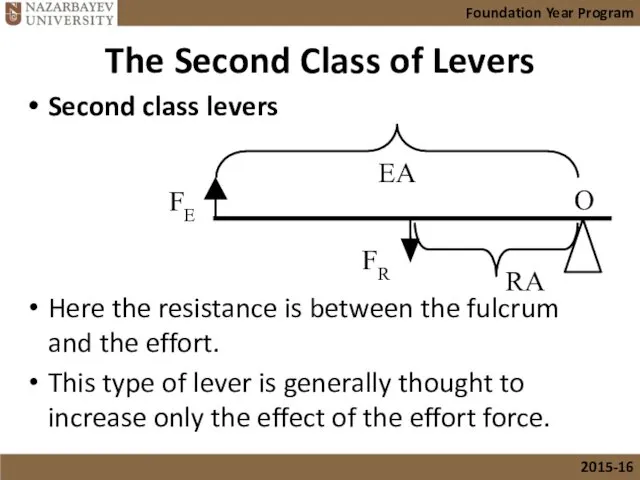 The Second Class of Levers Second class levers Here the