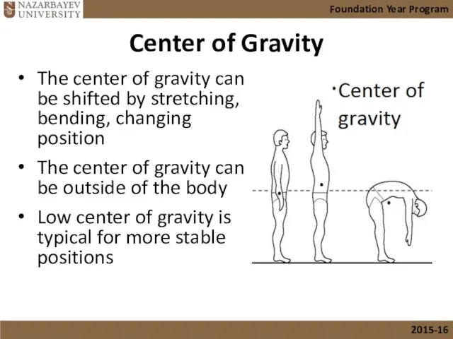 Center of Gravity The center of gravity can be shifted