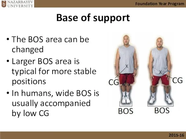 Base of support The BOS area can be changed Larger