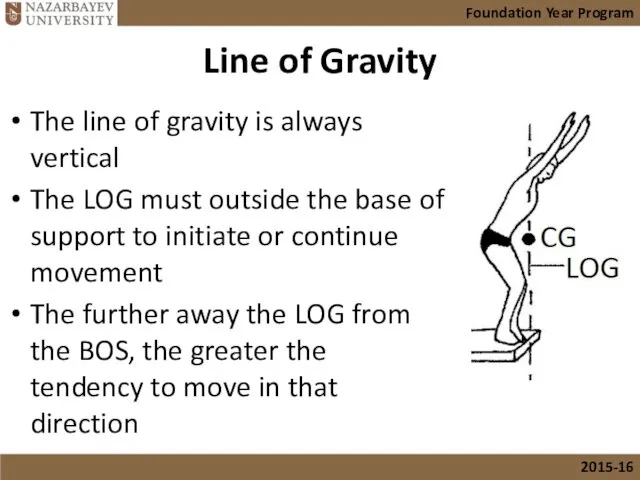Line of Gravity The line of gravity is always vertical