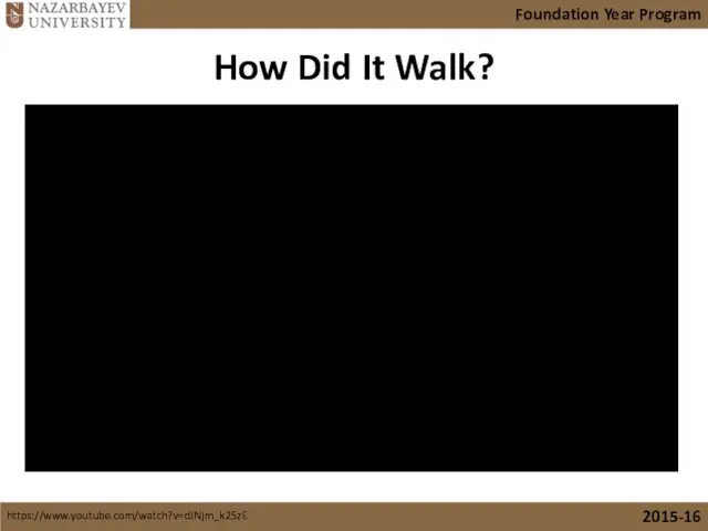 How Did It Walk? https://www.youtube.com/watch?v=dJNjm_k25zE