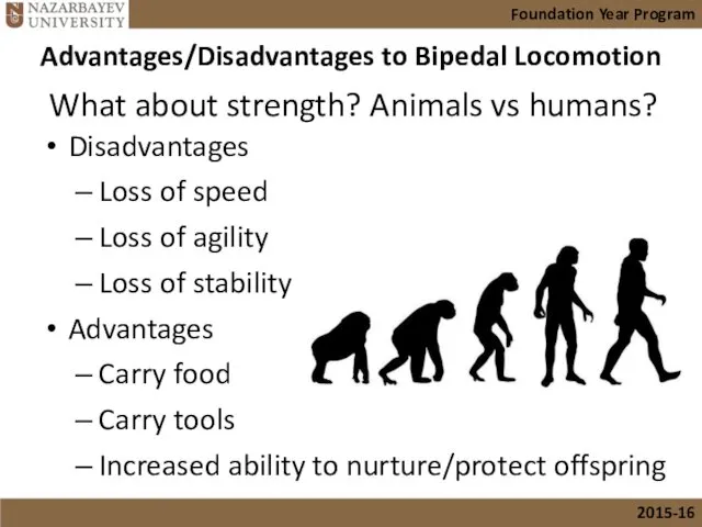 Disadvantages Loss of speed Loss of agility Loss of stability