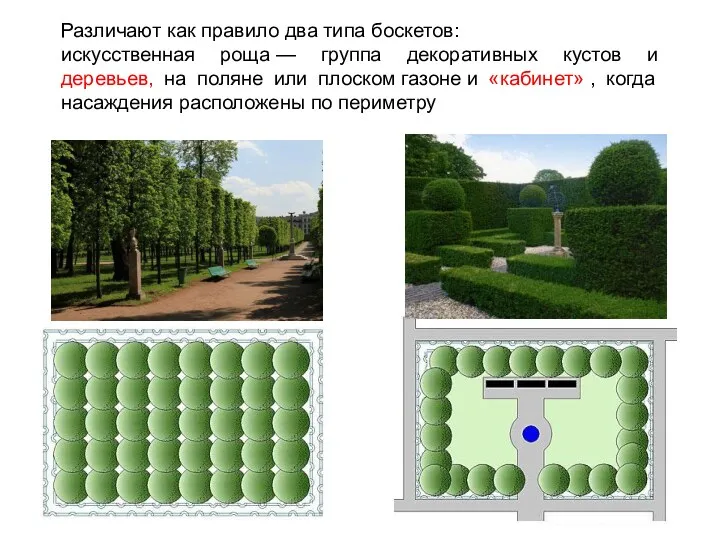 Различают как правило два типа боскетов: искусственная роща — группа