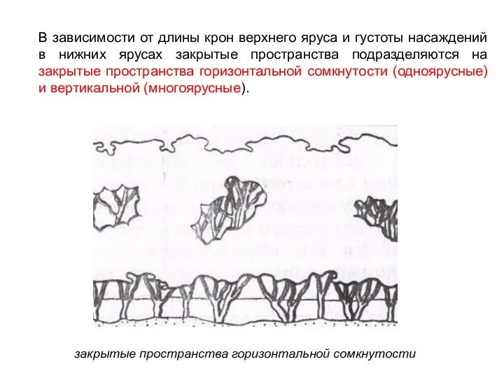 закрытые пространства горизонтальной сомкнутости В зависимости от длины крон верхнего