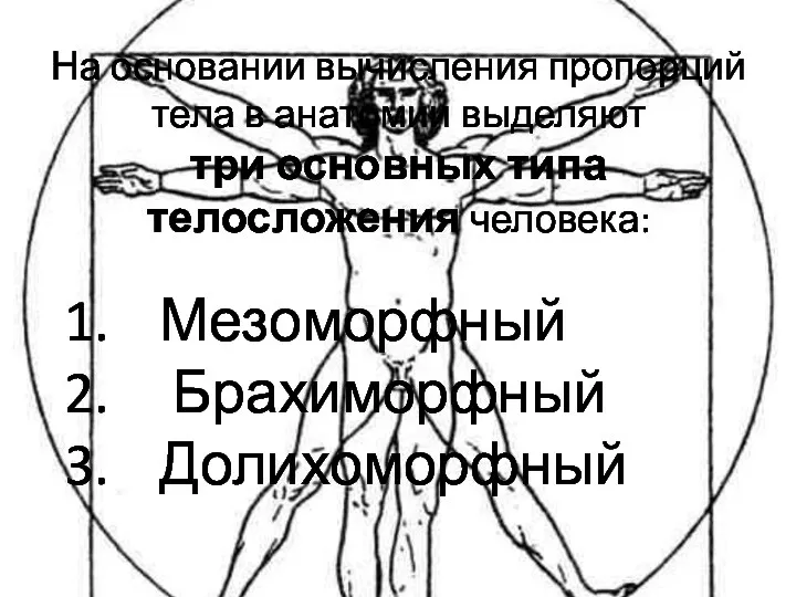 На основании вычисления пропорций тела в анатомии выделяют три основных типа телосложения человека: Мезоморфный Брахиморфный Долихоморфный