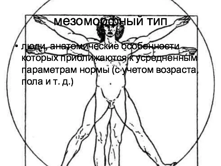 мезоморфный тип люди, анатомические особенности которых приближаются к усредненным параметрам