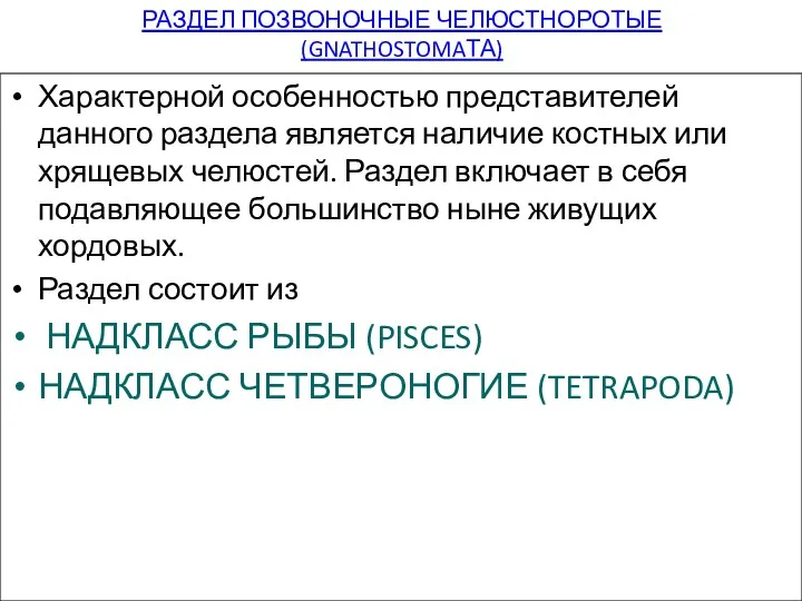 РАЗДЕЛ ПОЗВОНОЧНЫЕ ЧЕЛЮСТНОРОТЫЕ (GNATHOSTOMAТА) Характерной особенностью представителей данного раздела является