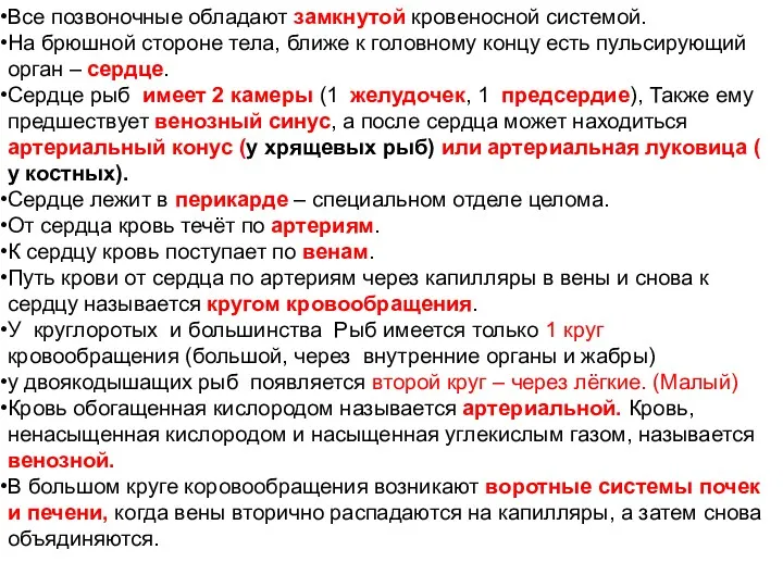 Все позвоночные обладают замкнутой кровеносной системой. На брюшной стороне тела,