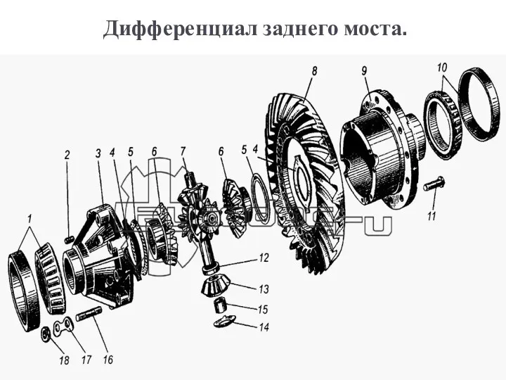 Дифференциал заднего моста.