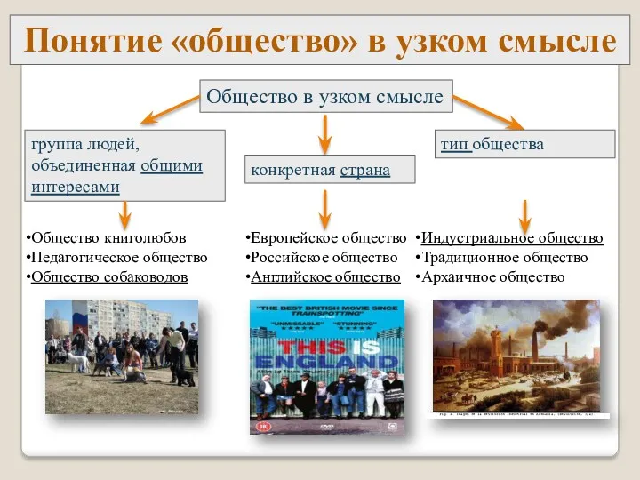 Понятие «общество» в узком смысле Общество в узком смысле группа